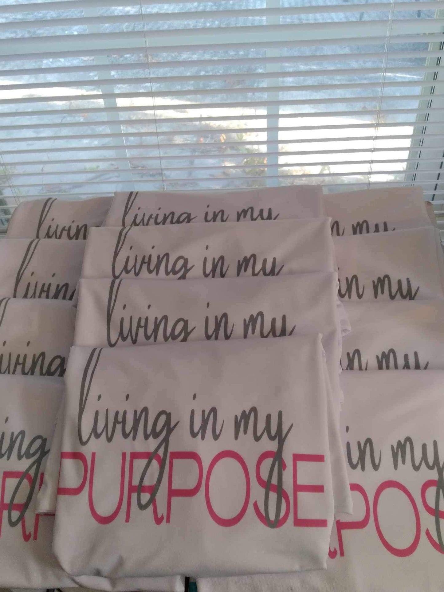 Living in my Purpose Tee